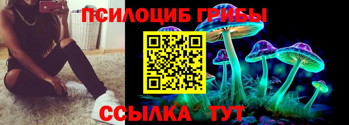 Псилоцибиновые грибы GOLDEN TEACHER Углич